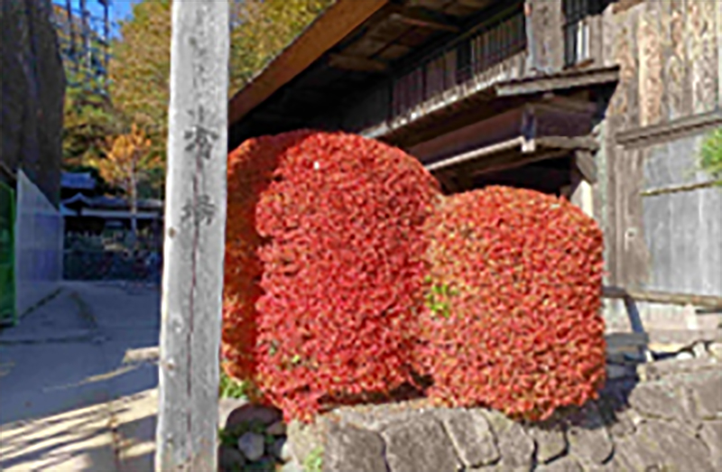 「宿場」の紅葉